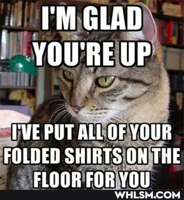I'M GLAD YOU'RE UP
~T'VE PUT ALL OF YOUR FOLDED SHIRTS ON THE
rinnn FrnAan UOLE