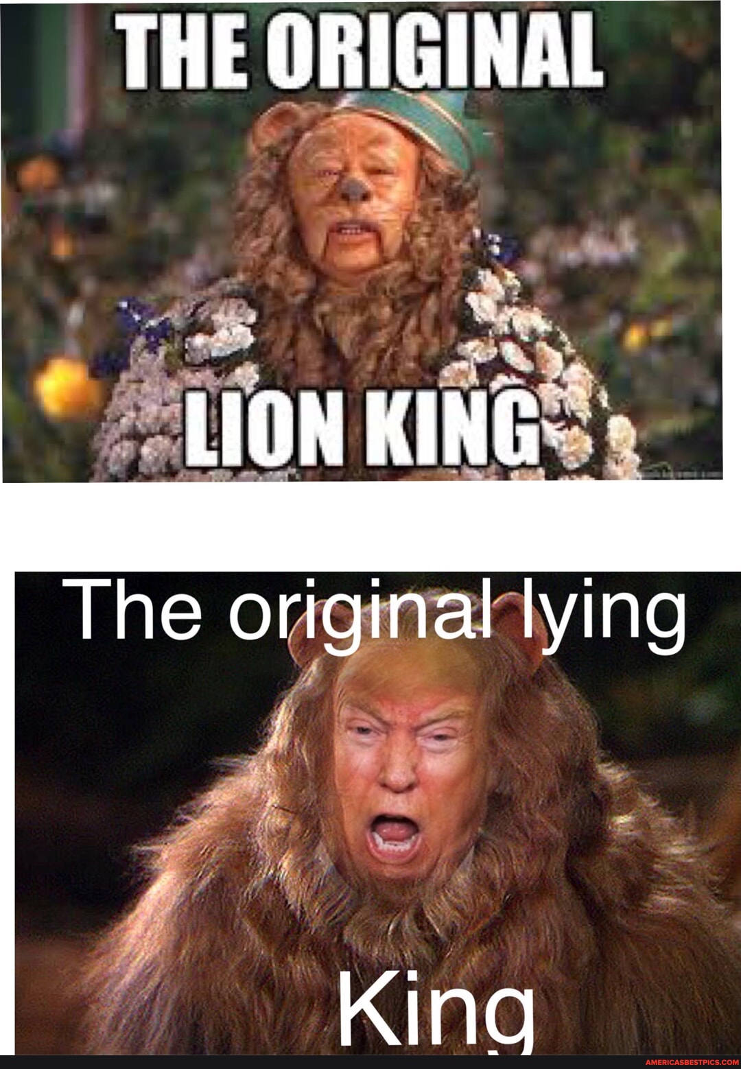 THE ORIGINAL LION KING The original lying King America’s best pics