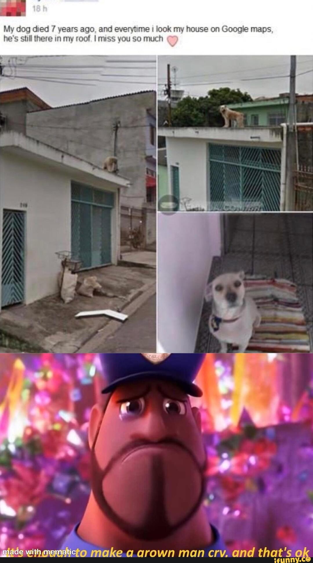 My dog died 7 years ago, and everytime I look my house on Google maps
he's still there in my roof. I miss you so much
PS
make. a arown man crv. and that's ok