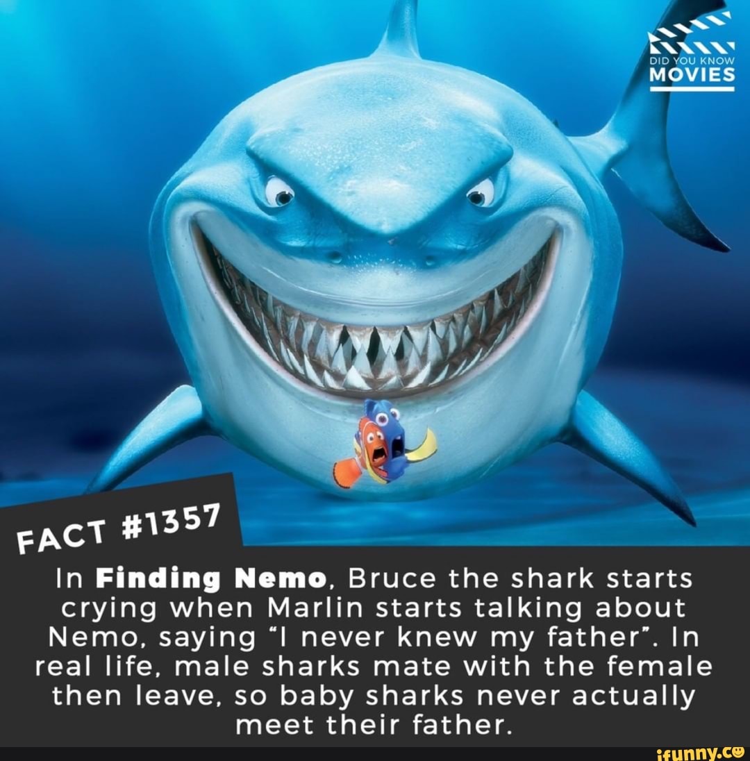 In Finding Nome Bruce The Shark Starts Crying When Marlin Starts