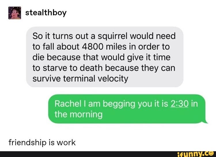 So it turns out a squirrel would need
to fall about 4800 miles in order to
die because that would give it time
to starve to death because they can
survive terminal velocity
Rachel I am begging you it is 2:30 in
the morning
friendship is work
