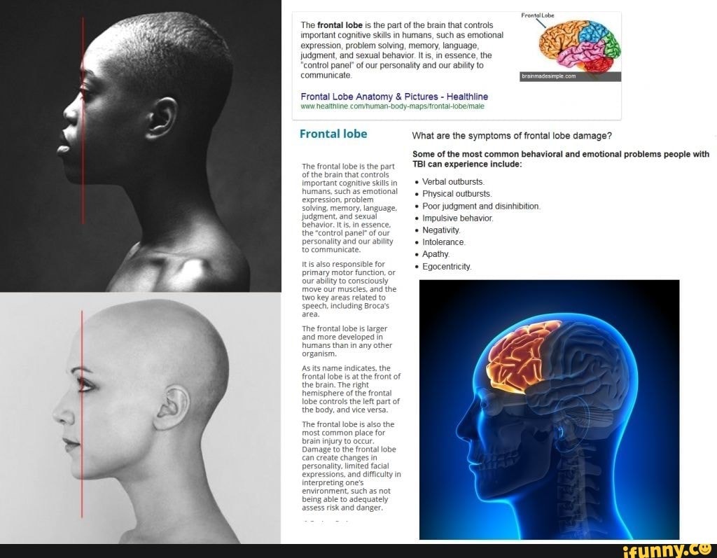 frontal-lobe-why-is-it-so-important-what-happens-if-it-is-injured