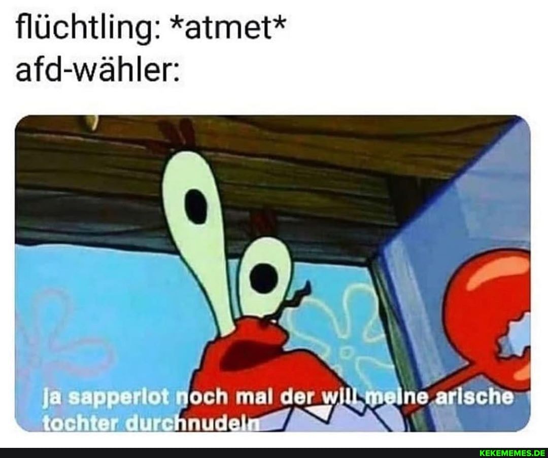 flüchtling: *atmet* afd-wähler:
meine arische
ach