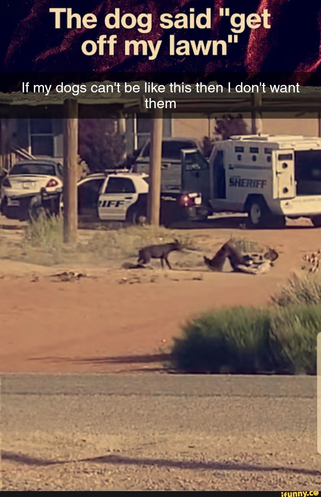 The dog said oF
off my lawn"
li my dogs can't be like this then I don't want
