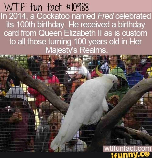 WTF fun fact #10488