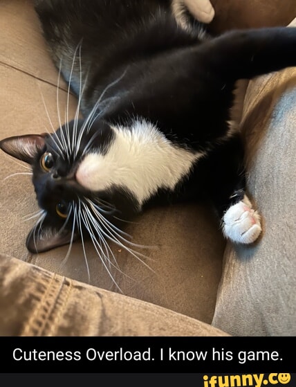 My cheeks holding back the worlds most devious poop ever known to