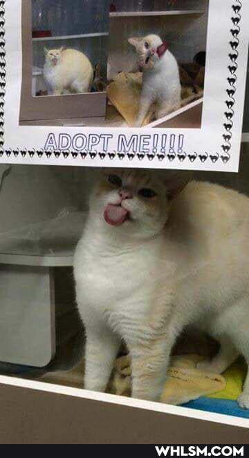 da da da da