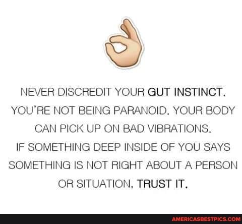 NEVER DISCREDIT YOUR GUT INSTINCT.
YOU'RE NOT BEING PARANOID. YOUR BODY CAN PICK UP ON BAD VIBRATIONS,
IF SOMETHING DEEP INSIDE OF YOU SAYS SOMETHING IS NOT RIGHT ABOUT A PERSON OR SITUATION, TRUST IT,