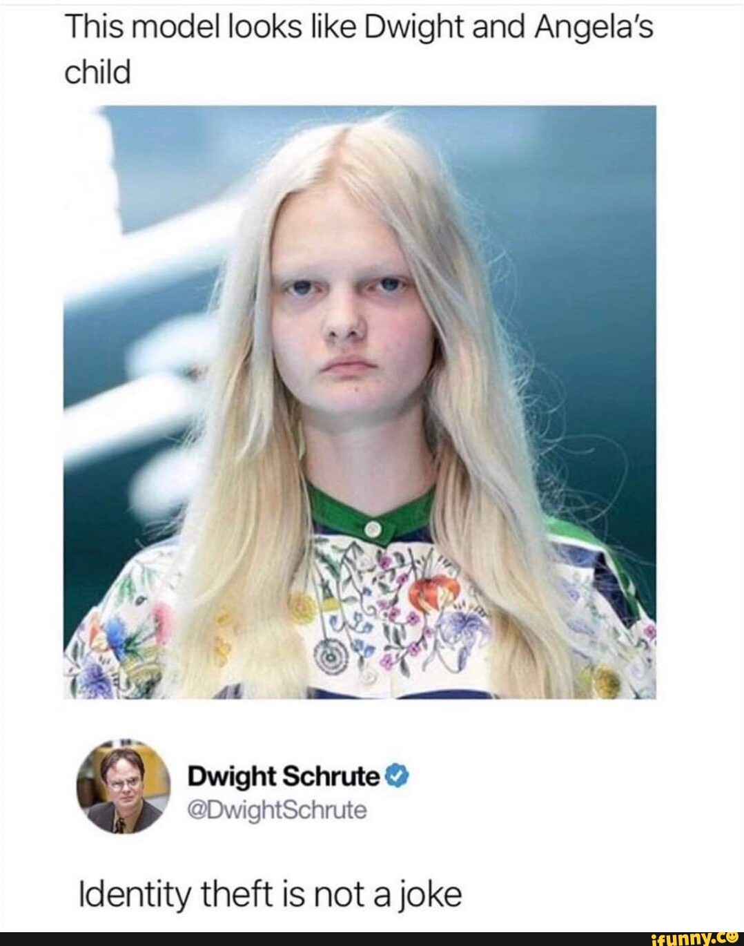 This model looks like Dwight and Angela's child ) Dwight Schrute