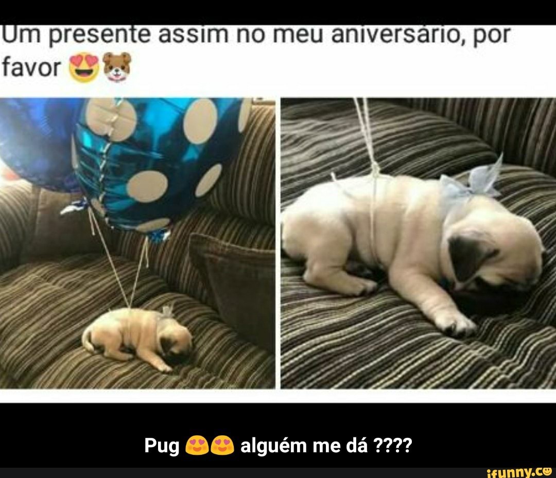 Um presente assim no meu aniversário, por
favor S 88
Pug 88 alguém me dá 777? - Pug 😍😍 alguém me dá ????