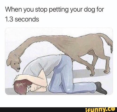 When you stop petting your dog for
1.3 seconds