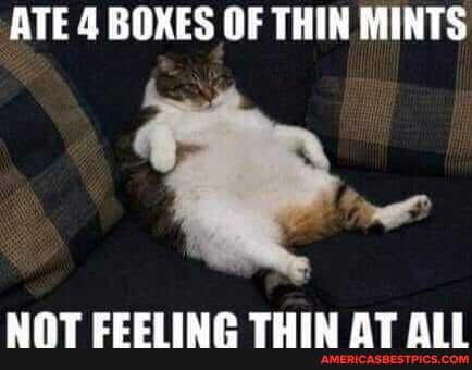 ATE 4 BOXES OF THIN MINTS
FORERI