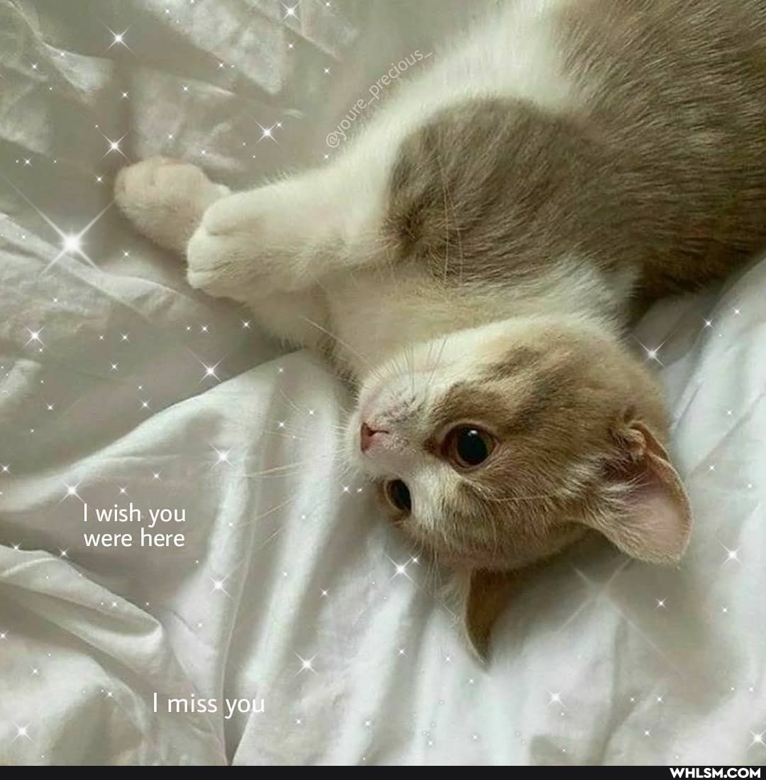 wish you were here
I miss you