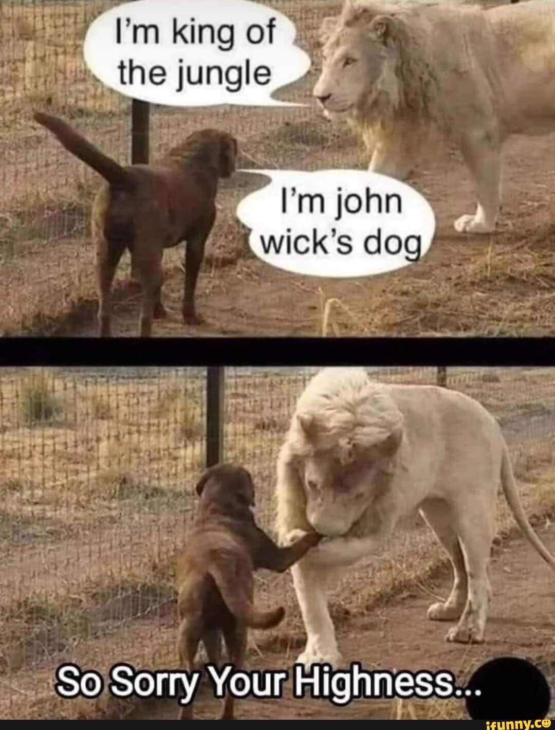 Icks memes. Best Collection of funny Icks pictures on iFunny