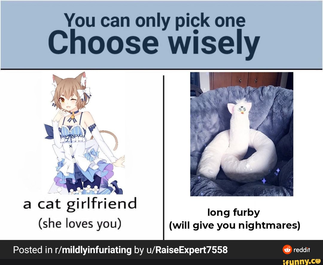 You can only pick one Choose wisely a cat girlfriend Posted in by long ...