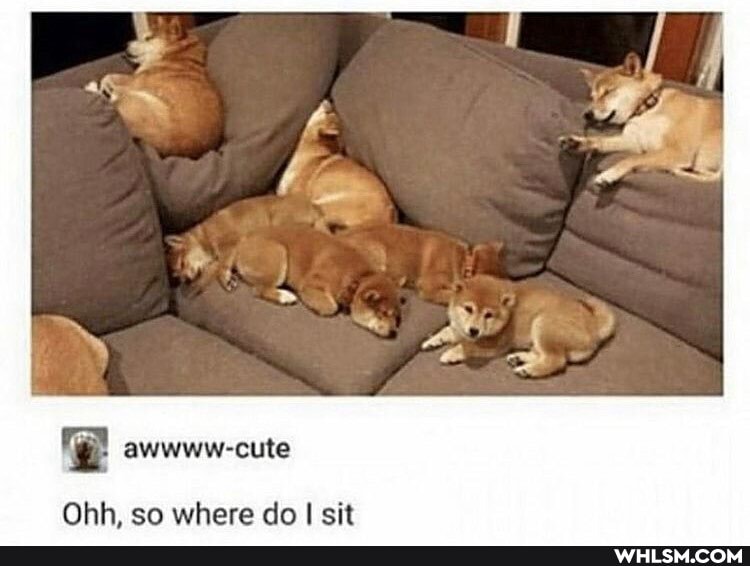 Ohh. so where de sit