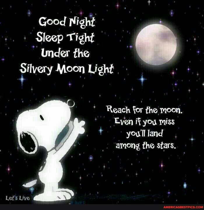 Good Night
Sleep Tight
Under the
Silvery Moon Light
Reach for the moon,
Even if you miss you'll land among the stars,