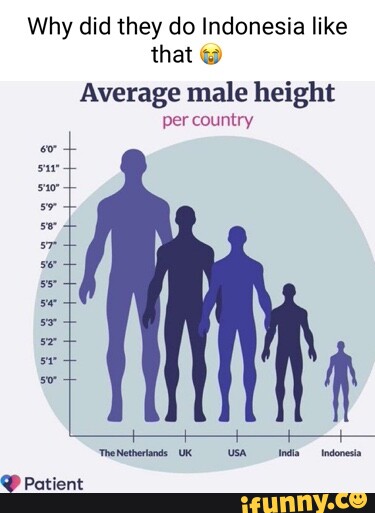 Is 184cm Tall For An Indonesian? Quora, 59% OFF