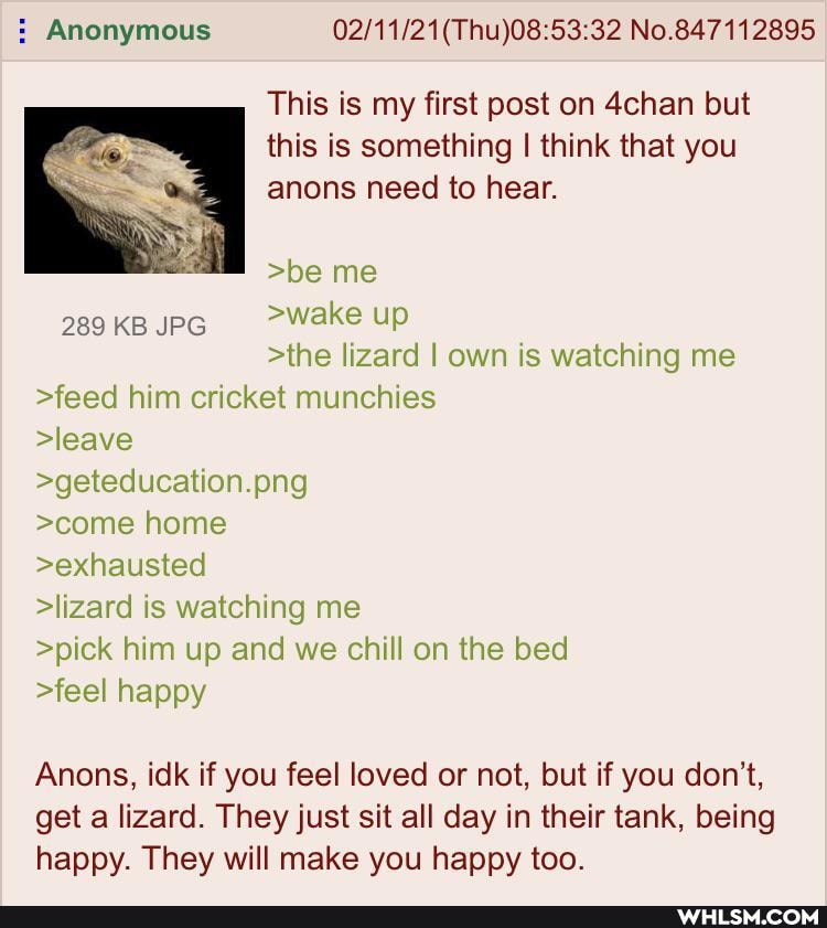 Anonymous No.847112895
This is my first post on 4chan but this is something I think that you anons need to hear.
>be me
289KB >Wake up
>the lizard I own is watching me
>feed him cricket munchies
>leave
>geteducation.png
>come home
>exhausted
>lizard is watching me
>pick him up and we chill on the bed
>feel happy
Anons, idk if you feel loved or not, but if you don't, get a lizard. They just sit all day in their tank, being happy. They will make you happy too.
