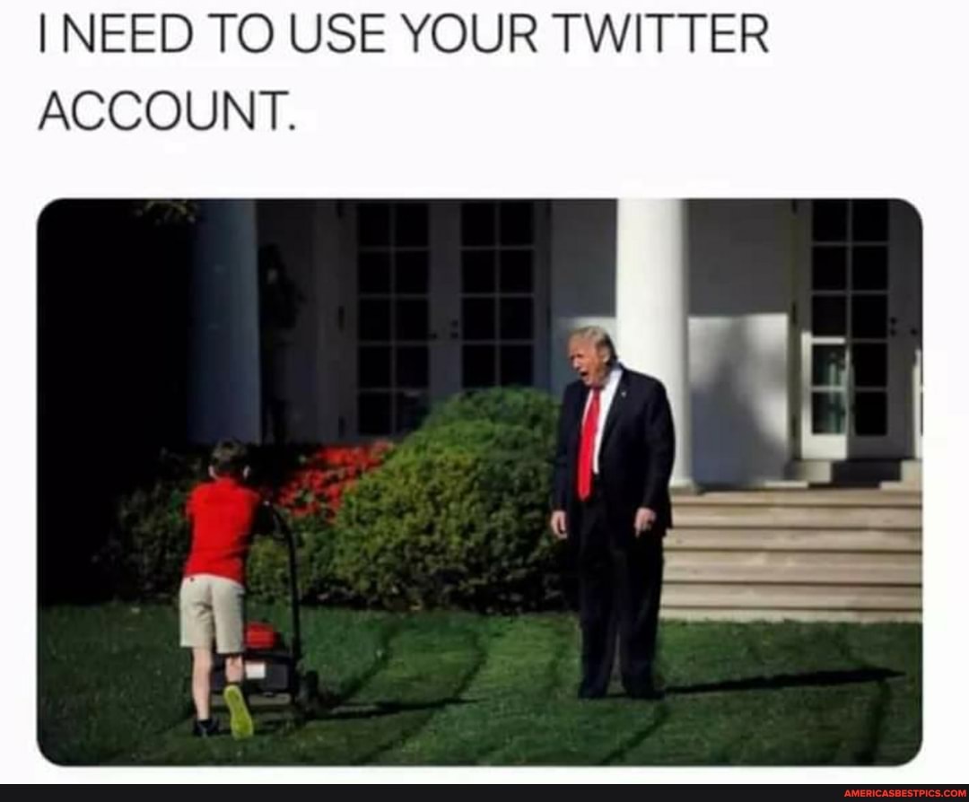I NEED TO USE YOUR TWITTER ACCOUNT.