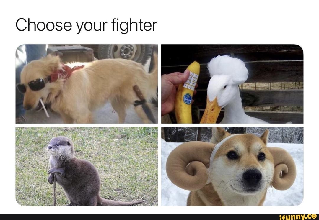 Choose Your Fighter