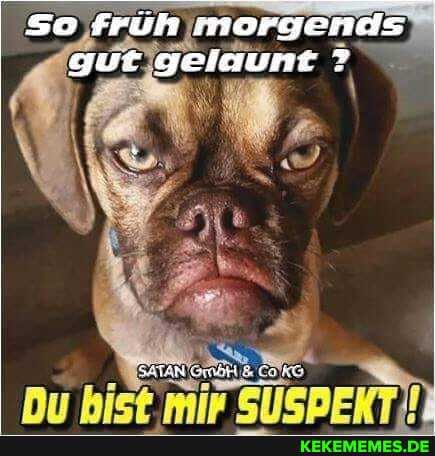 so früh jmorgends