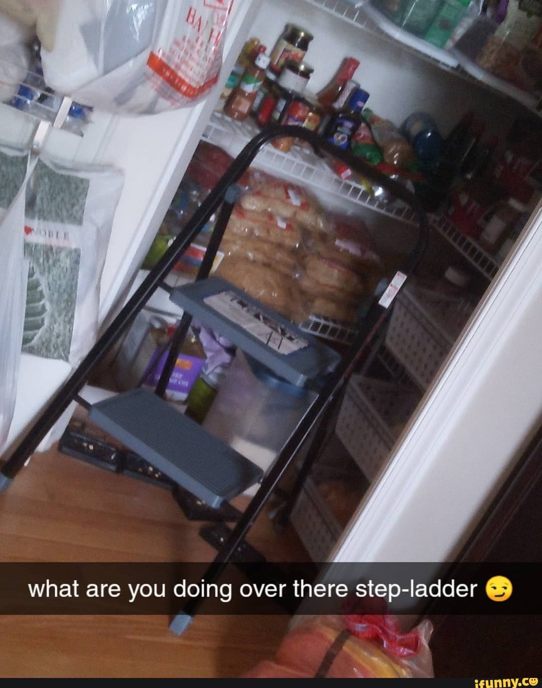 What Are You Doing Over There Step Ladder Ifunny