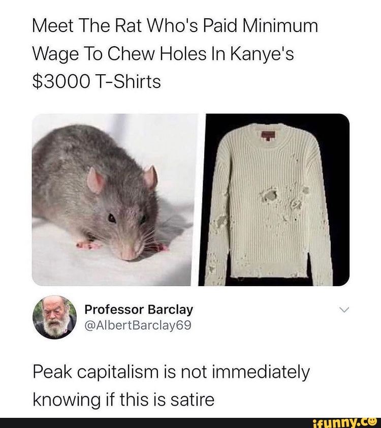 Meet The Rat Who's Paid Minimum Wage To Chew Holes In Kanye's 3000 T