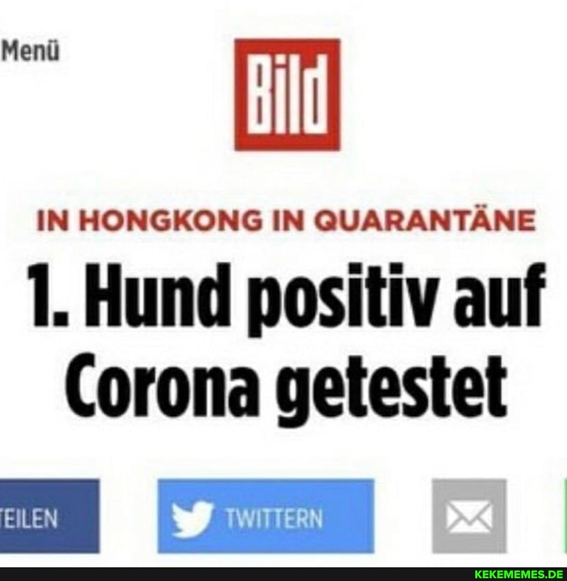 Bild
IN HONGKONG IN QUARANTÄNE
1. Hund positiv auf
Corona getestet
EILEN
TWITTERN
