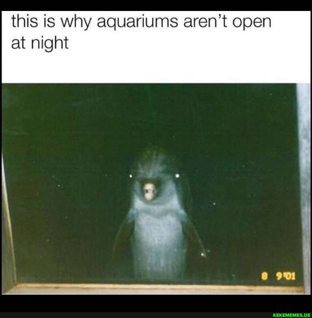 this is why aquariums aren't open at night