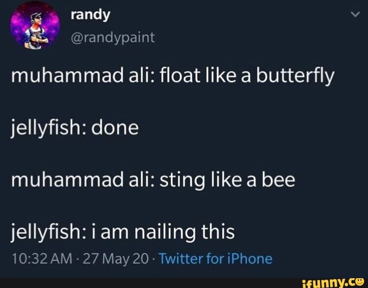 Muhammad ali float like a butterfly jellyfish done muhammad ali