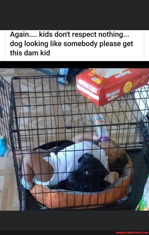 Again.... kids don't respect nothing...
dog looking like somebody please get this dam kid
\ AAA