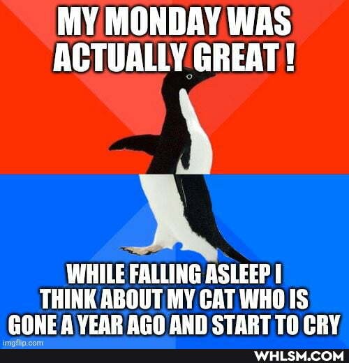 MY MONDAY WAS ACTUALLY GREAT!
WHILE FALLING ASLEEP I THINK ABOUT MY CAT IS GONE A YEAR AGO AND START TO CRY