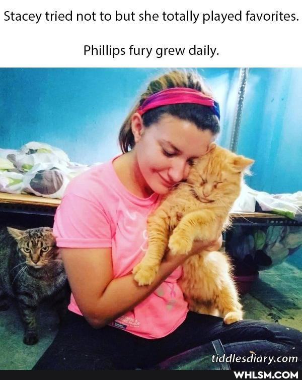 Stacey tried not to but she totally played favorites.
Phillips fury grew daily.
