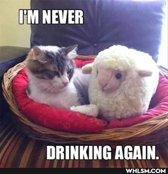 I'M NEVER
DRINKING AGAIN.