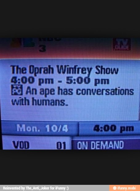 Oprah Winfrey Show
5:00 pm
ES An ape has conversations
with humans.