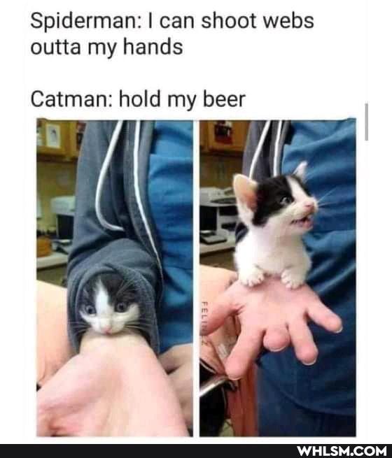 Spiderman: I can shoot webs outta my hands
Catman: hold my beer