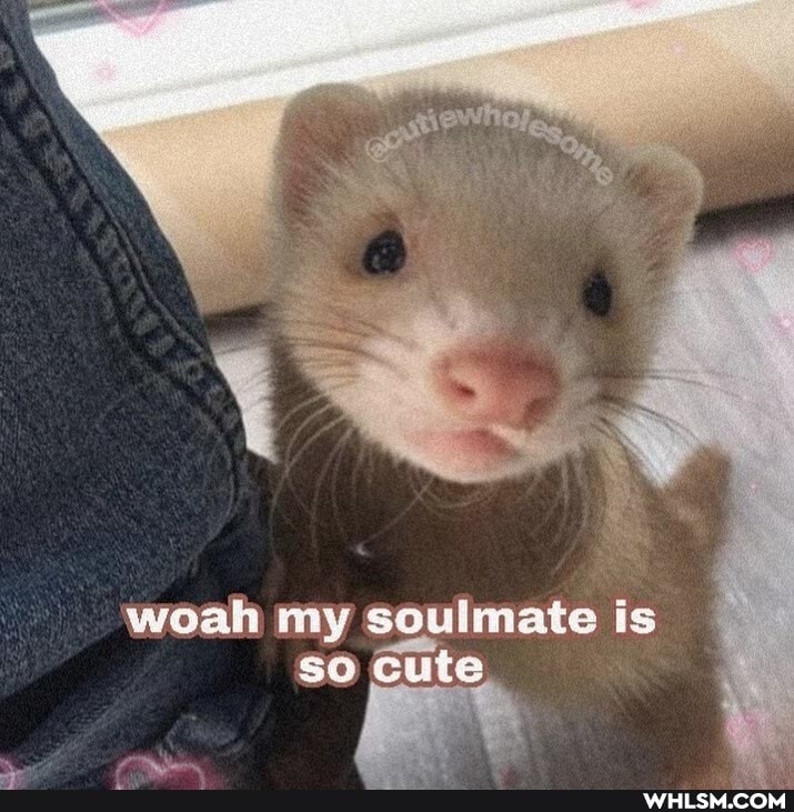 woah my soulmate is so Cute
re