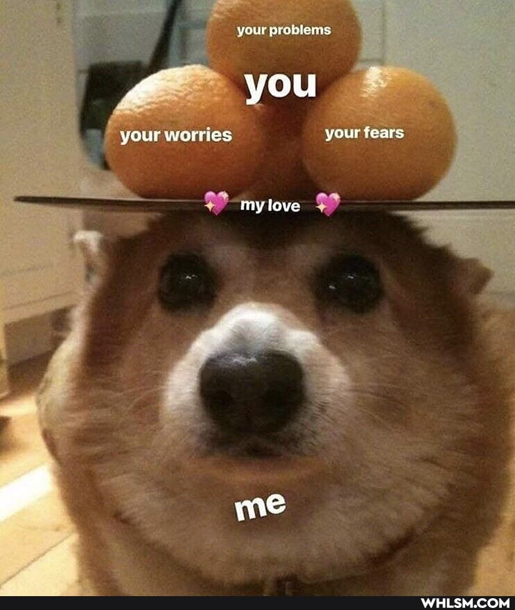 your problems
you
your worries your tears
my love
me