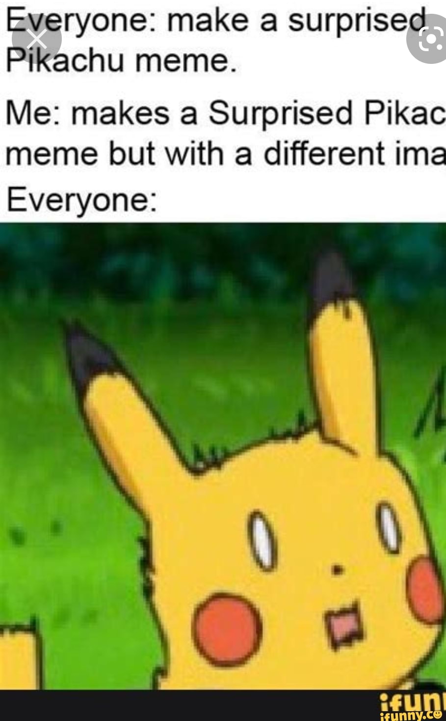 Everyone Make A Surprised Pikachu Meme Me Makes A Surprised Pika Meme But With A Different 