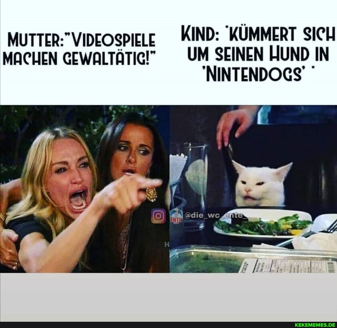 KIND: "KÜMMERT SICH
MACHEN GEwALTÄTICI" UM SEINEN HUND IN NINTENDOGS