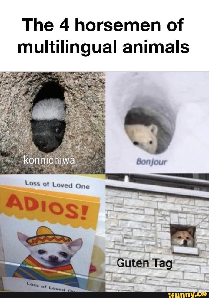 The 4 horsemen of
multilingual animals