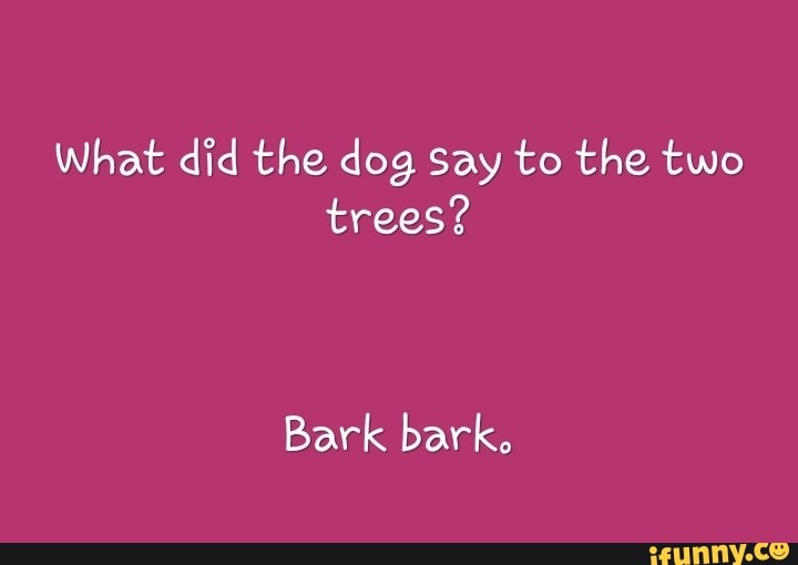 What did the, dog Say to the two trees? Bark barko iFunny