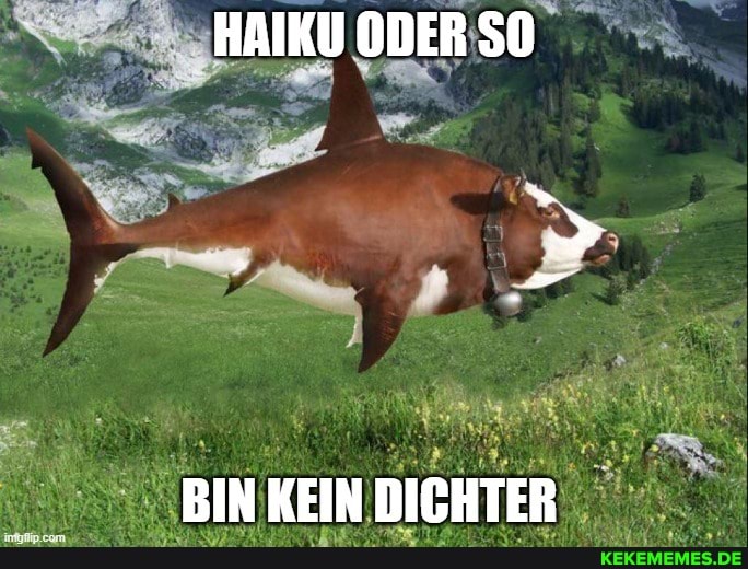 HAIKU ODER SO
BIN KEIN DICHTER