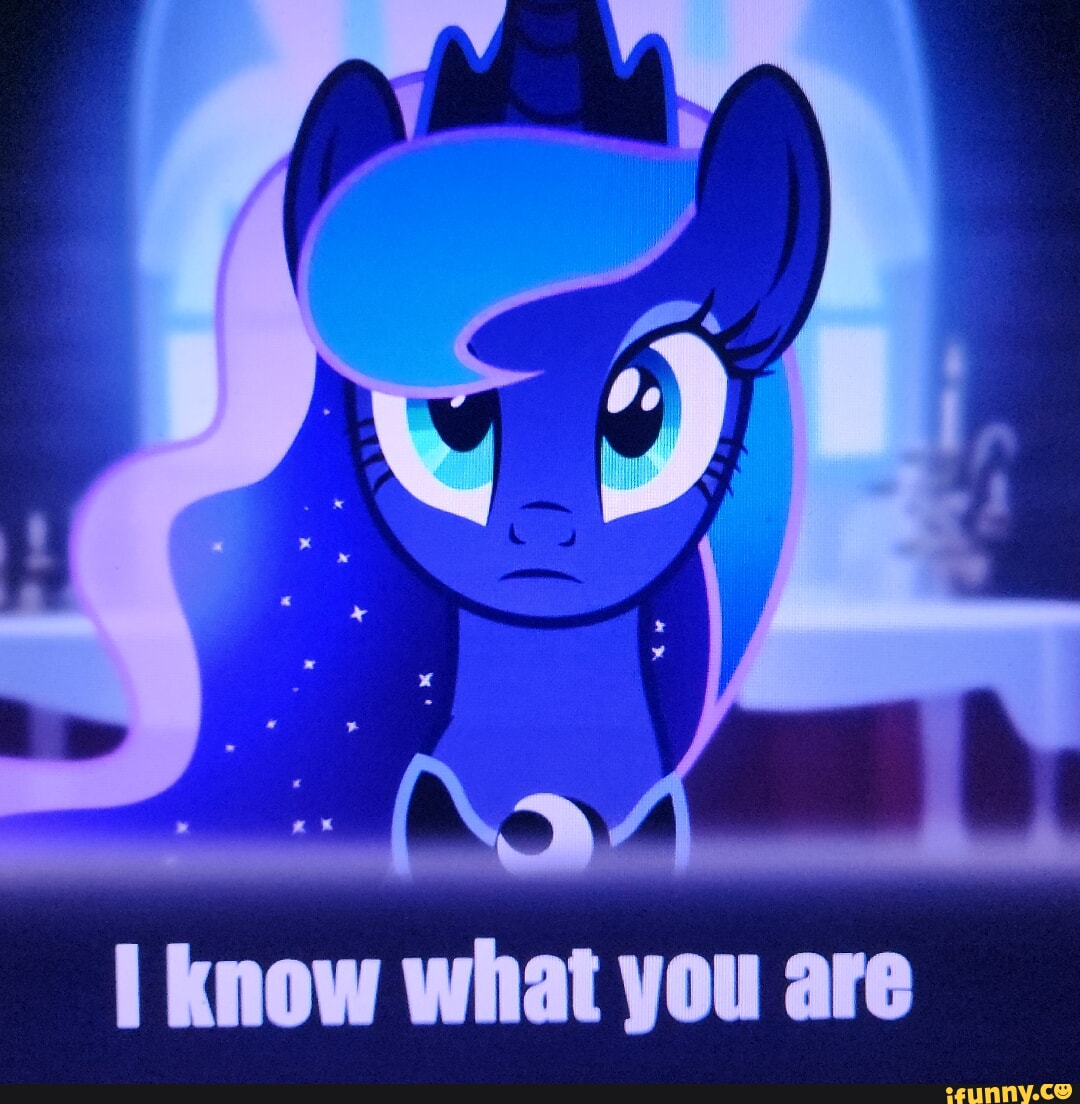 I know what you are - iFunny