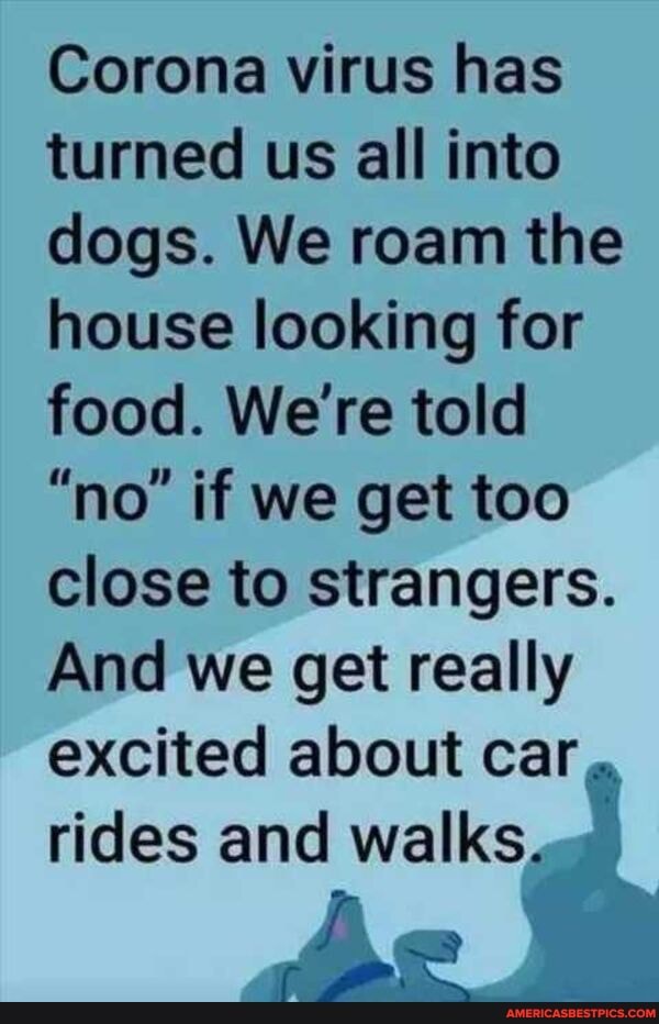 Corona virus has turned us all into dogs. We roam the house looking for food. We're told
"no' if we get too close to strangers.
And we get really excited about car rides and walks
It