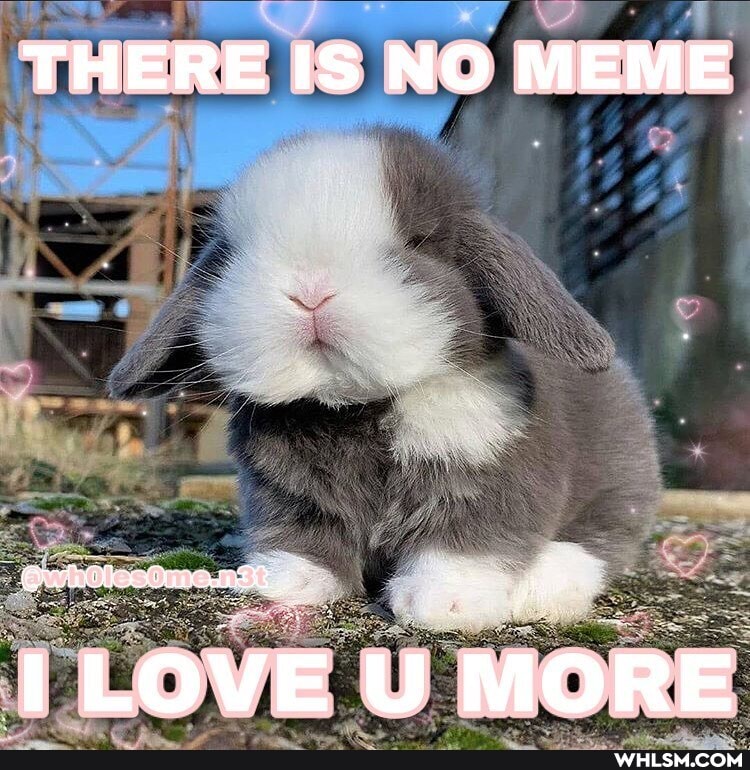 THERE IS NO MEME
LOVE MORE