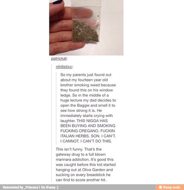 patrickat:
nihilistico:
So my parents just found out
about my fourteen year old
brother smoking weed because
they found this on his window
ledge. So in the middle of a
huge lecture my dad decides to
open the Baggie and smell it to
see how strong it is. He
immediately starts crying with
laughter. THIS NIGGA HAS
BEEN BUYING AND SMOKING
FUCKING OREGANO. FUCKIN
ITALIAN HERBS. SON. I CAN'T.
I CANNOT. I CAN'T DO THIS.
This isn't funny. That's the
gateway drug to
a
full blown
marinara addiction. It's good this
was caught before this kid started
hanging out at Olive Garden and
sucking on every breadstick he
can find to score another hi
