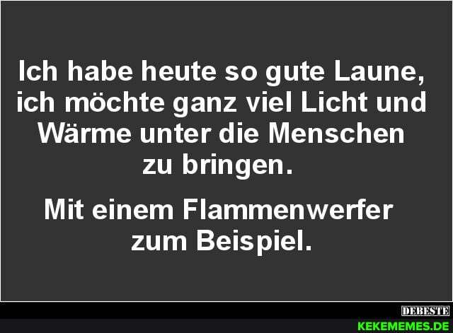 Ich habe heute so gute Laune, ich möchte ganz viel Licht und
Wärme unter die Menschen zu bringen.
Mit einem Flammenwerfer zum Beispiel.