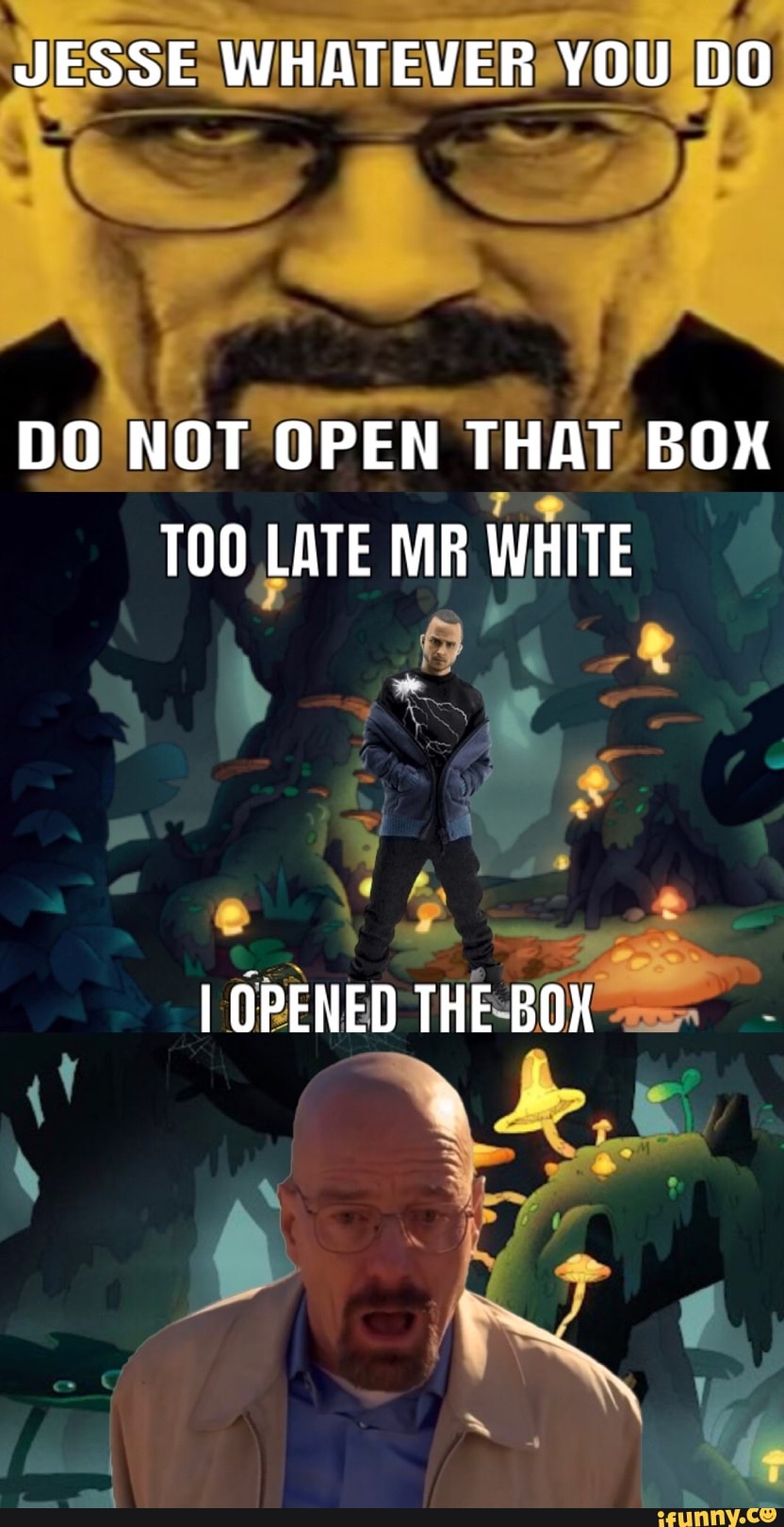 JESSE WHATEVER YOU DO DO NOT OPEN THAT BOX TOO LATE MR WHITE I OPENED ...